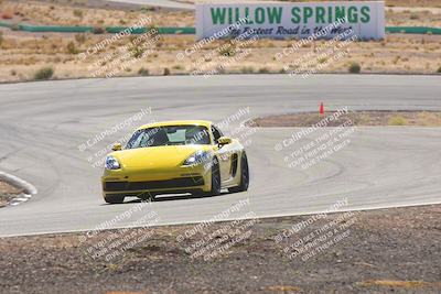 media/Oct-25-2025-West Coast Racing (Sat) [[9fdcbcd09c]]/Blue group/Turn 4/